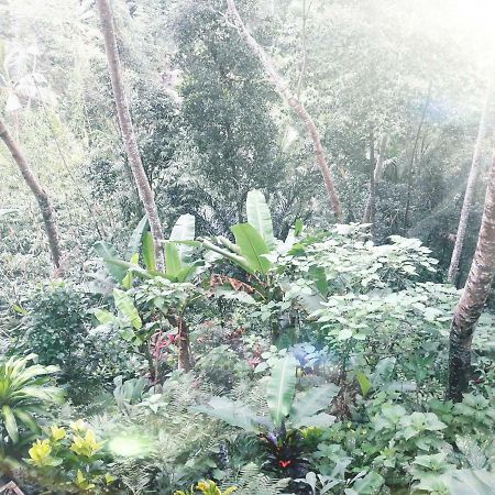 Ubud River Side House Hotel Buitenkant foto