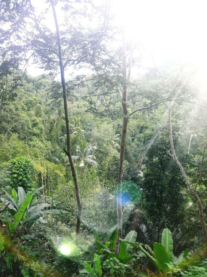 Ubud River Side House Hotel Buitenkant foto