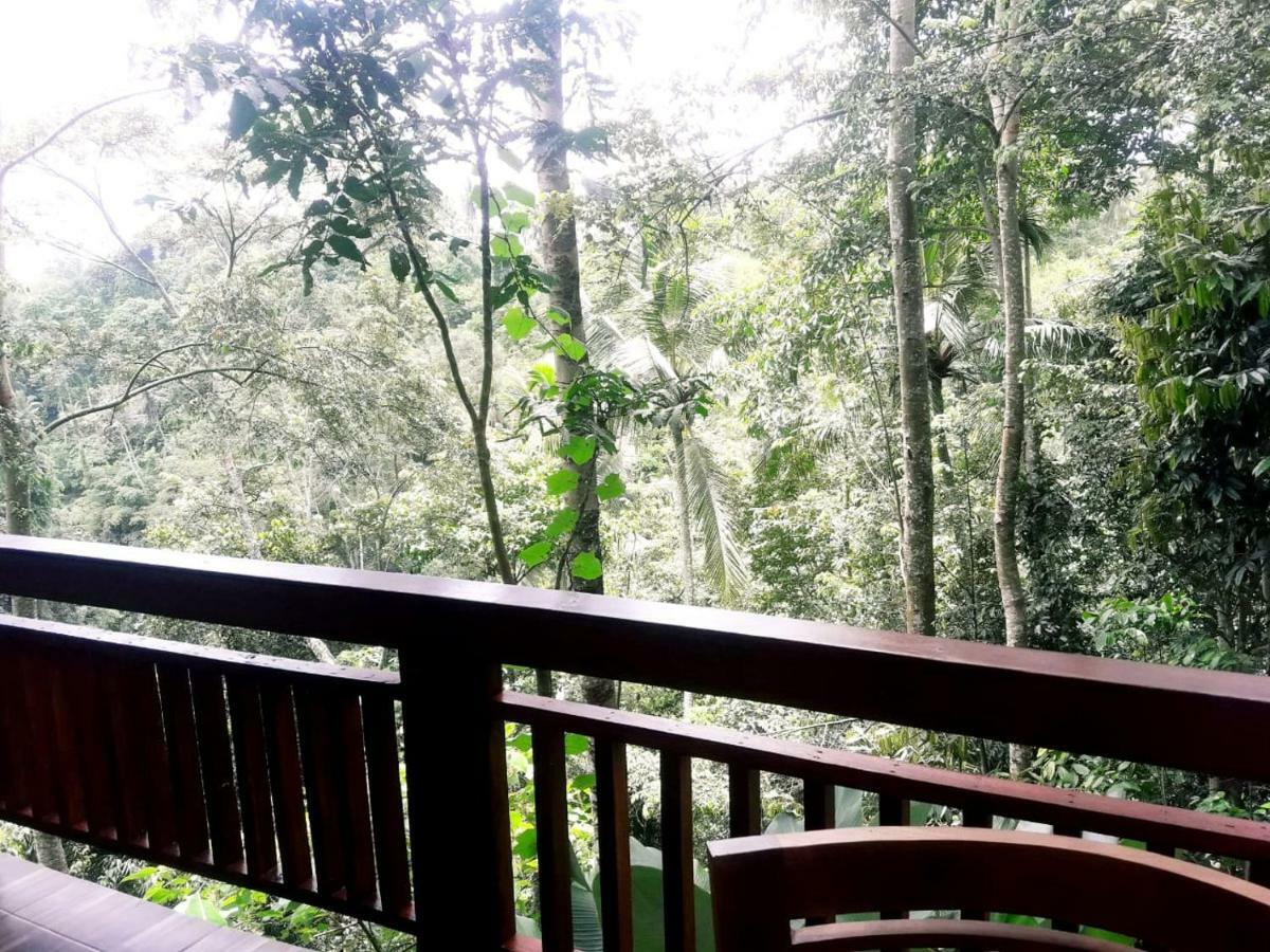 Ubud River Side House Hotel Buitenkant foto